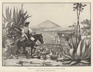 Festival van St. Antonius bij de Kapel van San Antonio, Tenerife